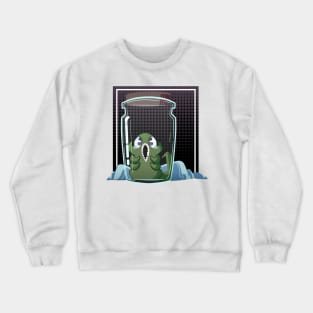 Envy. Crewneck Sweatshirt